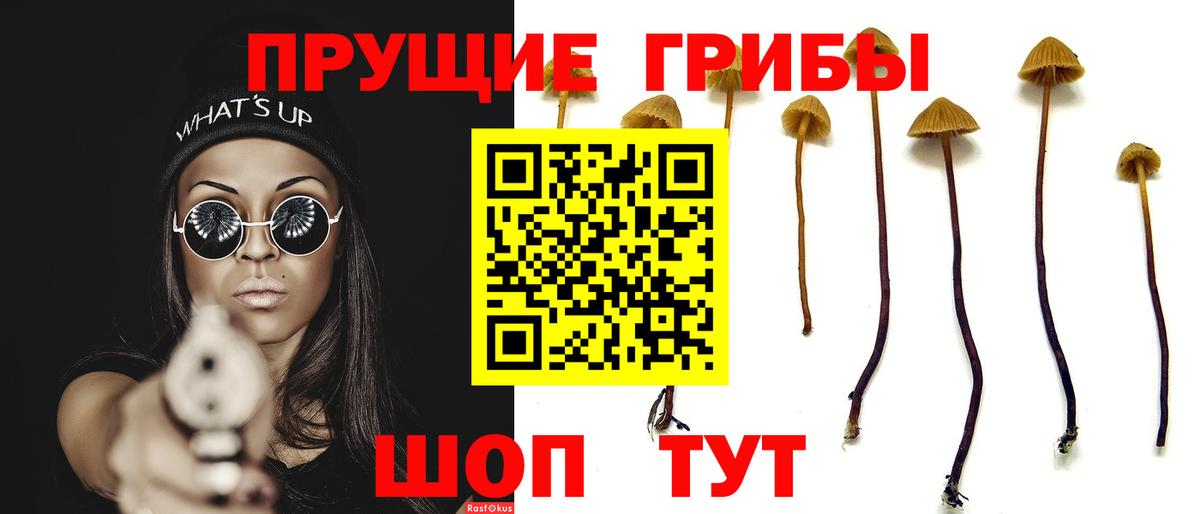 Галлюциногенные грибы ЛСД  Вход с VPN  Альметьевск  Галлюциногенные грибы MAGIC MUSHROOMS 